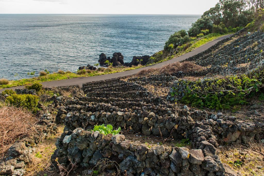 Adega Velha Villa Calheta de Nesquim Exterior photo